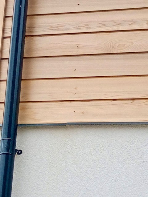 Fireproofing external timber cladding on Buildings