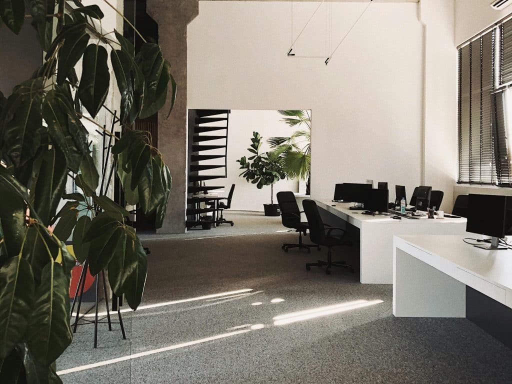 Spacious Workplace with Indoor Plants