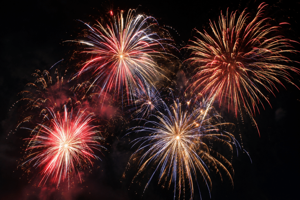 Colourful red, gold, white and blue fireworks bursting across a dark night sky.